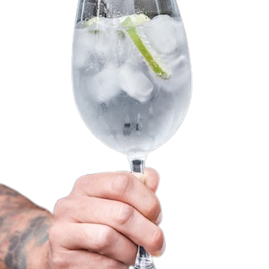 Shrimps Cocktail